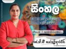 Sinhala Classes