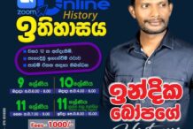 History classes on line