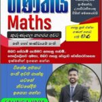 Maths classes for Grade 6 to 11 Online/Group