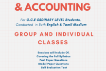 Business studies & Accounting OL