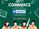 Grade 10/ 11 Commerce ( Online )