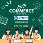 Grade 10/ 11 Commerce ( Online )