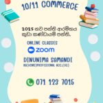 Grade 10/ 11 Commerce