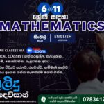 Sinhala and English medium maths classes