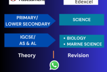 Individual Online Science Classes