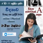 English and sinhala medihm science classess