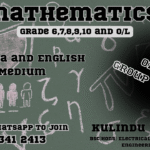 Maths Group Classes – Online