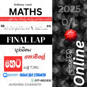 FINAL LAP   Maths