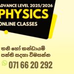 Physics Online Individual Classes