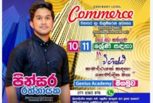 Business & Accounting studies