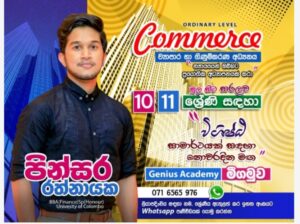 Business & Accounting studies