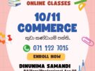 Grade 10/ 11 Commerce